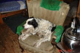 DEER CAMP 2007 002.jpg